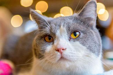 《战地6》大逃杀模式概念图 官方描述公开